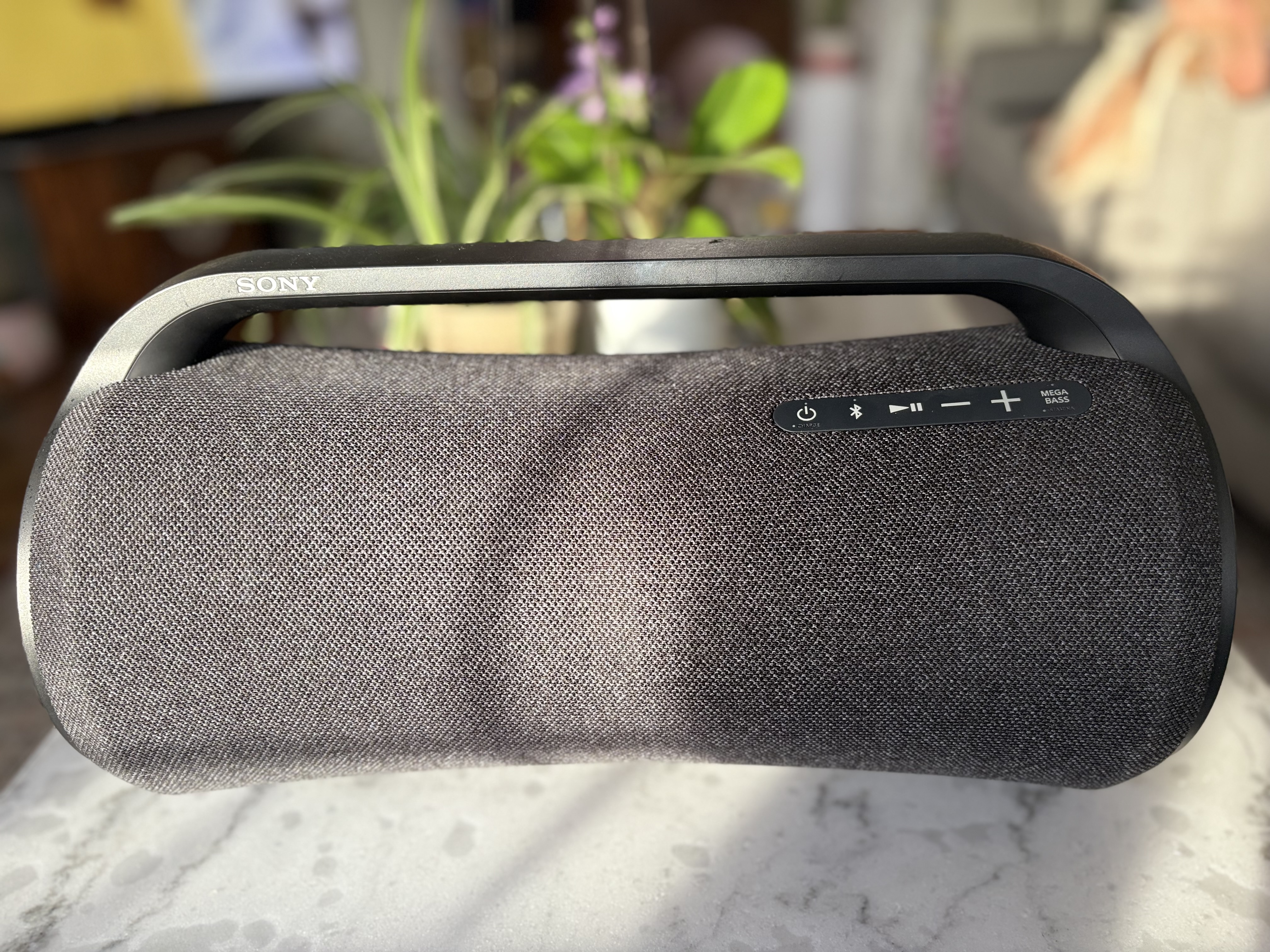 Sony Battery Powered Speaker (30 Hours)